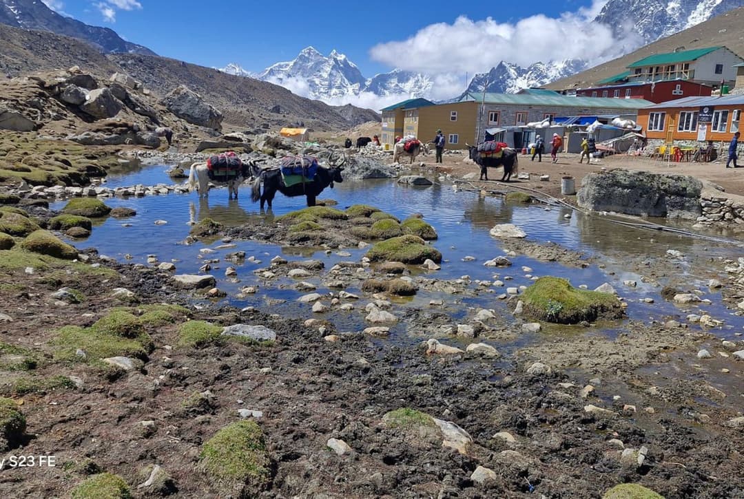 Everest Base Camp Trek Andrew Robert 4