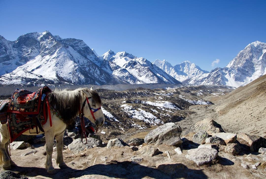 Everest Base Camp Trek