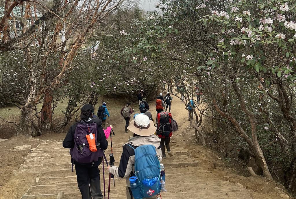 Ebc Trek With Paban
