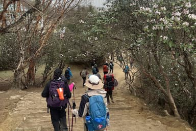 Ebc Trek With Paban