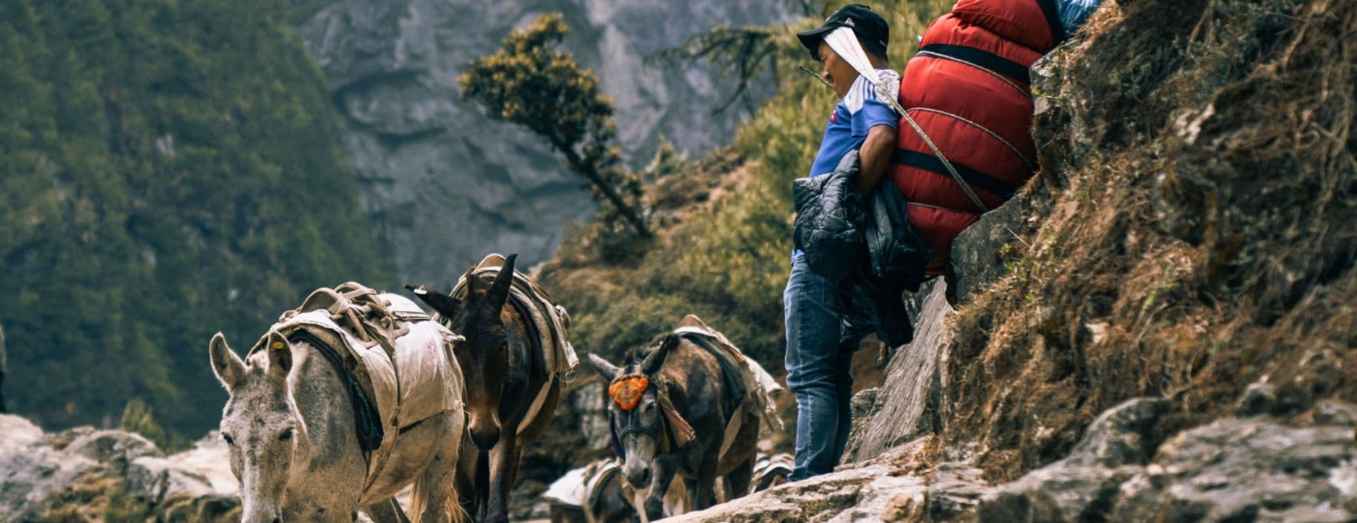 Porters in Nepal for Trekking