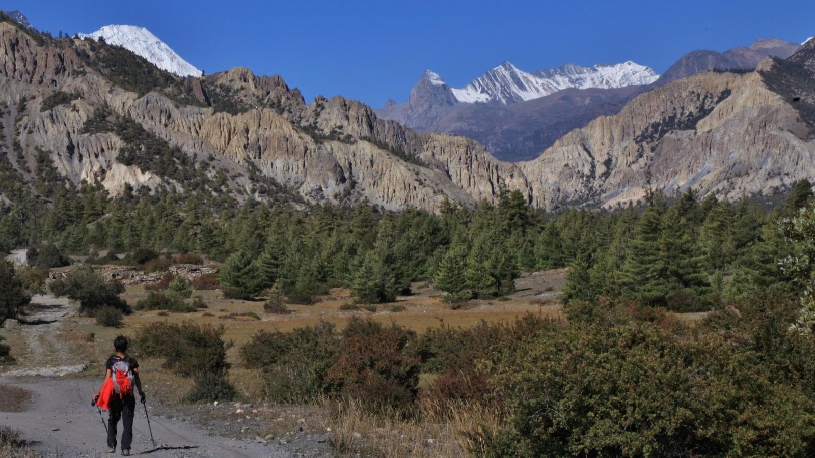 Annapurna Circuit Trek: 14-Day Itinerary, Costs, Guide | Nepal