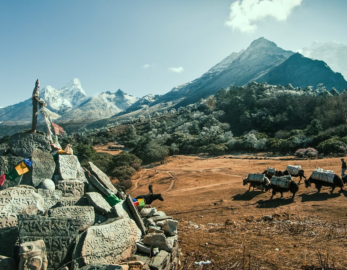 Everest Signature Lodge Trek