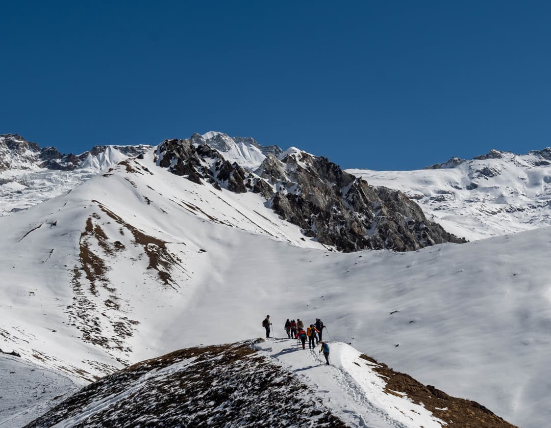 Where is Langtang Natinal Park?