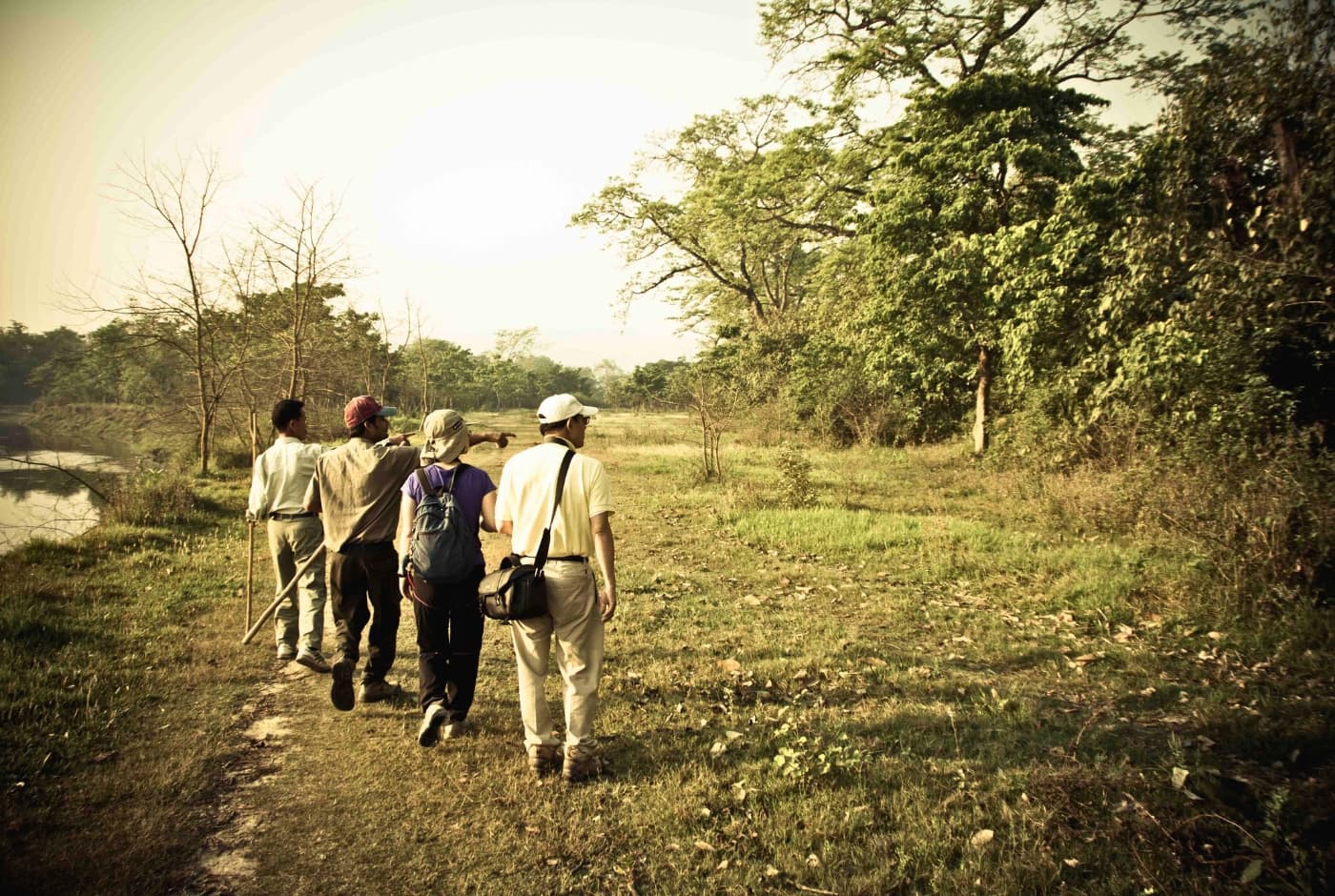 Nature Walk