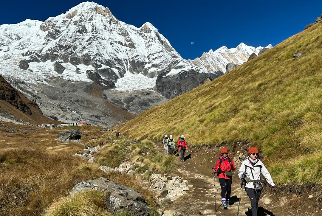 Trekkers Descending From Annapurna Base Camp Through Alpine Grasslands With Annapurna South Glacier