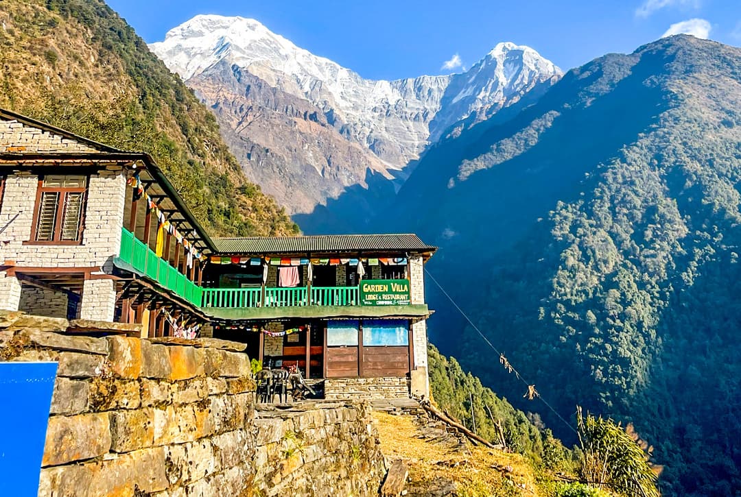 Traditional Stone Teahouse Lodges In Chhomrong Village  With Annapurna South And Hiunchuli Snow Peaks Visible In Background