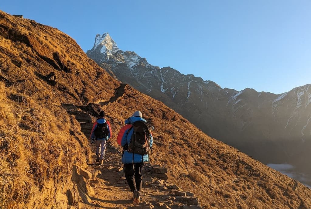 What is the highest point of Mardi Himal