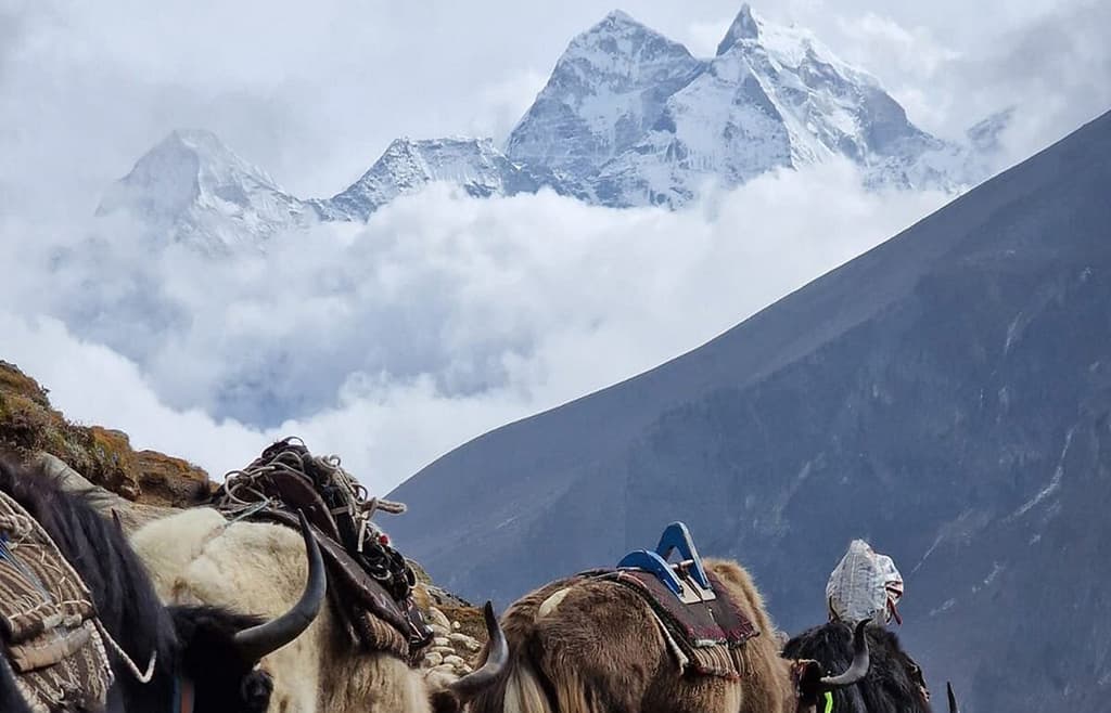 Nangla Pass