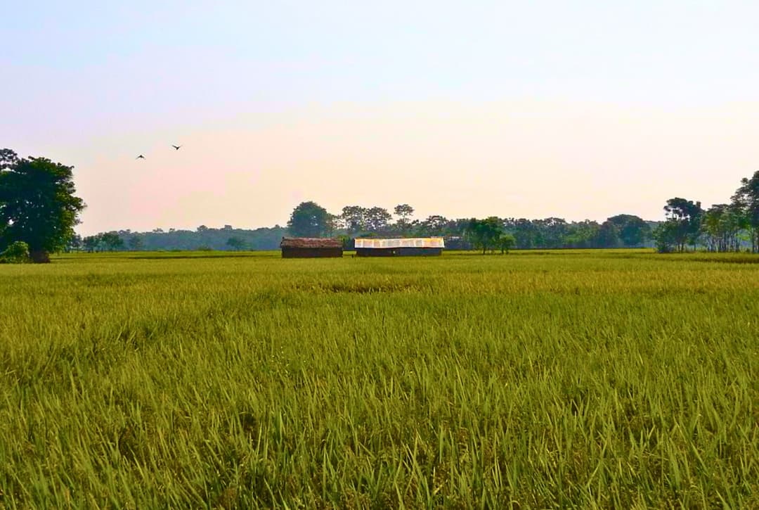 Village Trip Chitwan