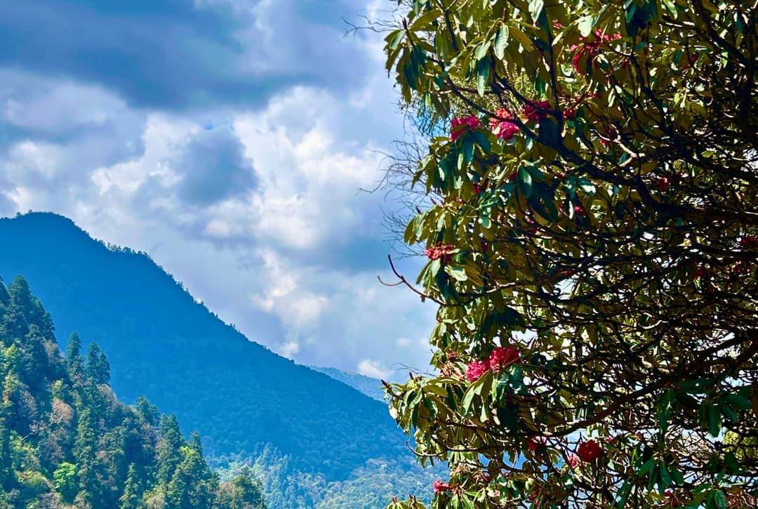 Swanta village to ghorepani