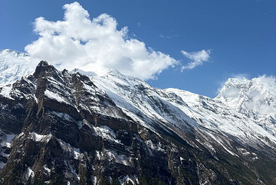 Review Of Act By Lucy