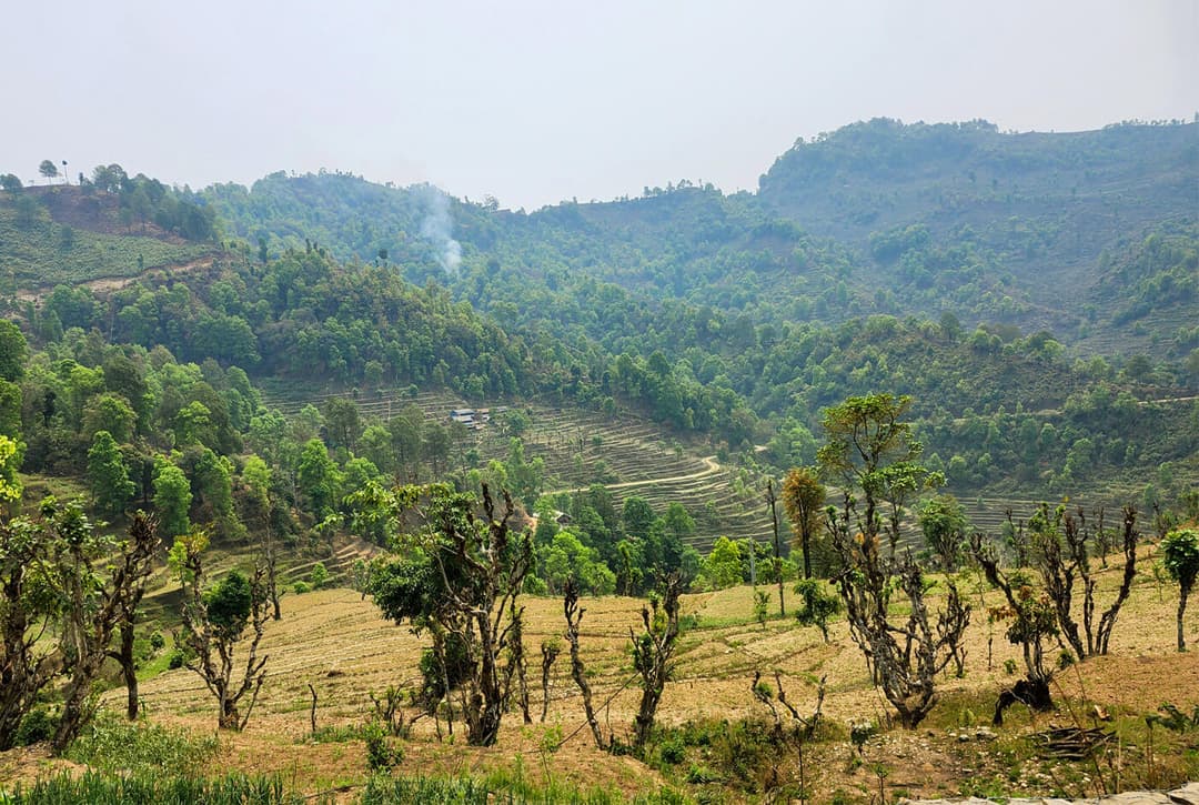 Tilije Back To Kathmandu