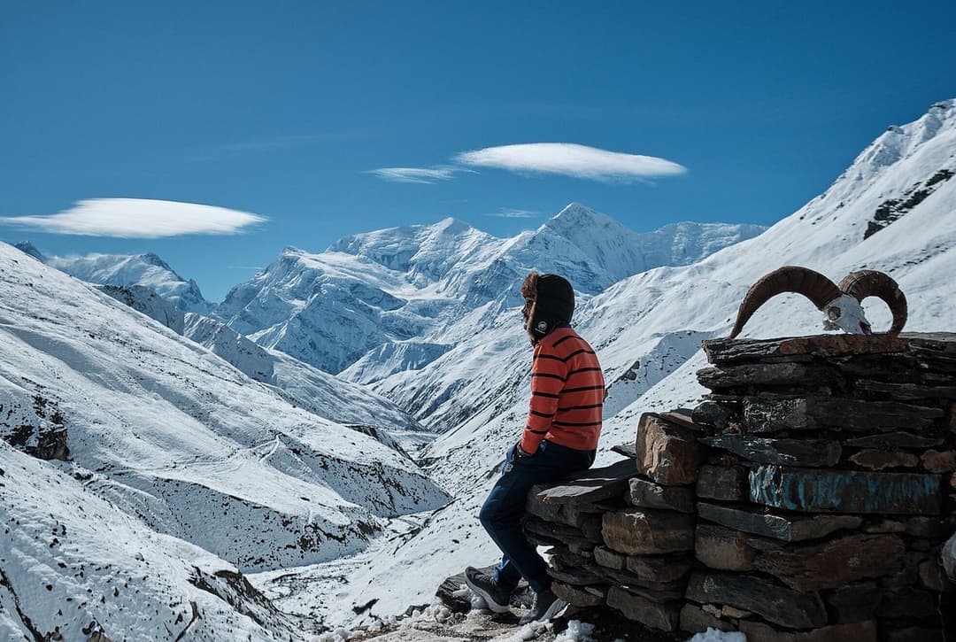 Beautiful Snowy Environment