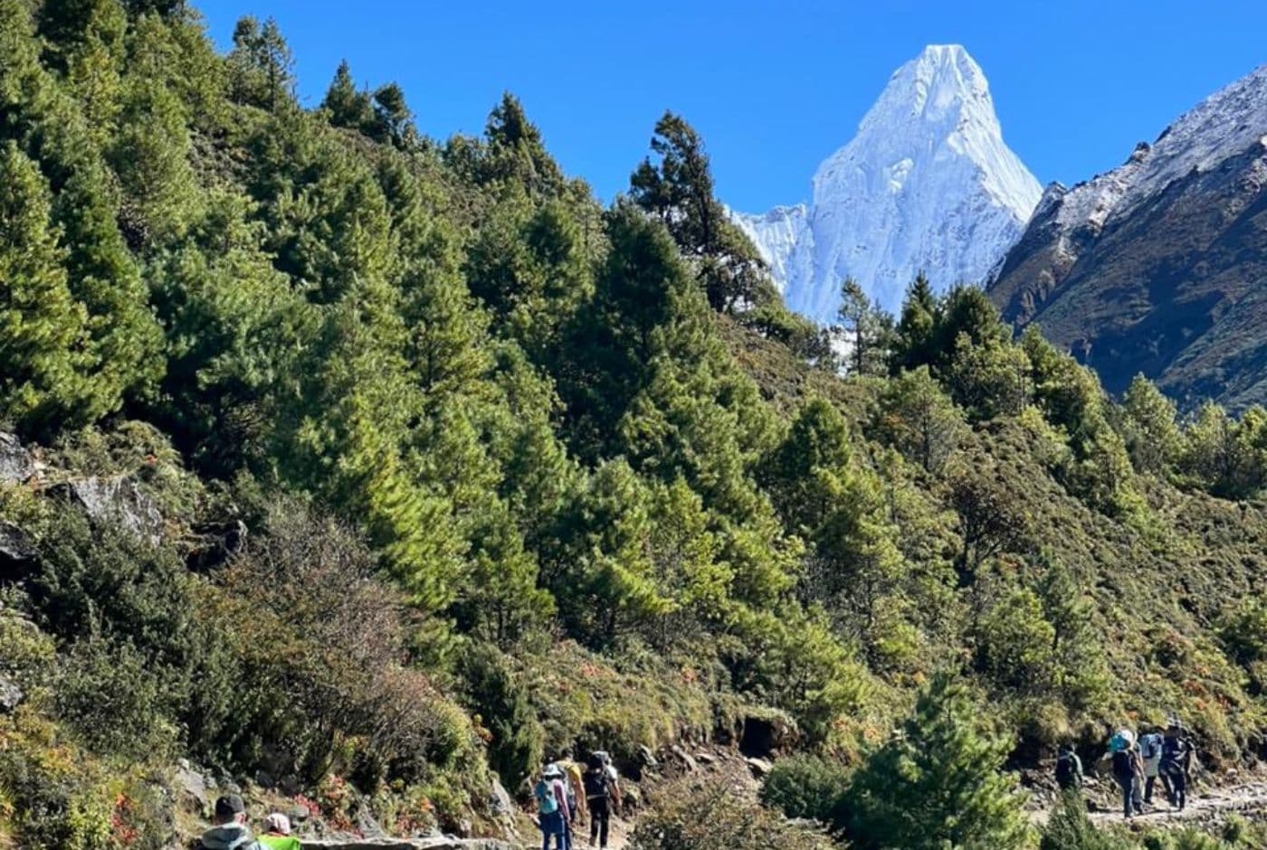 Way To Tengboche With View Of Ama Dablam