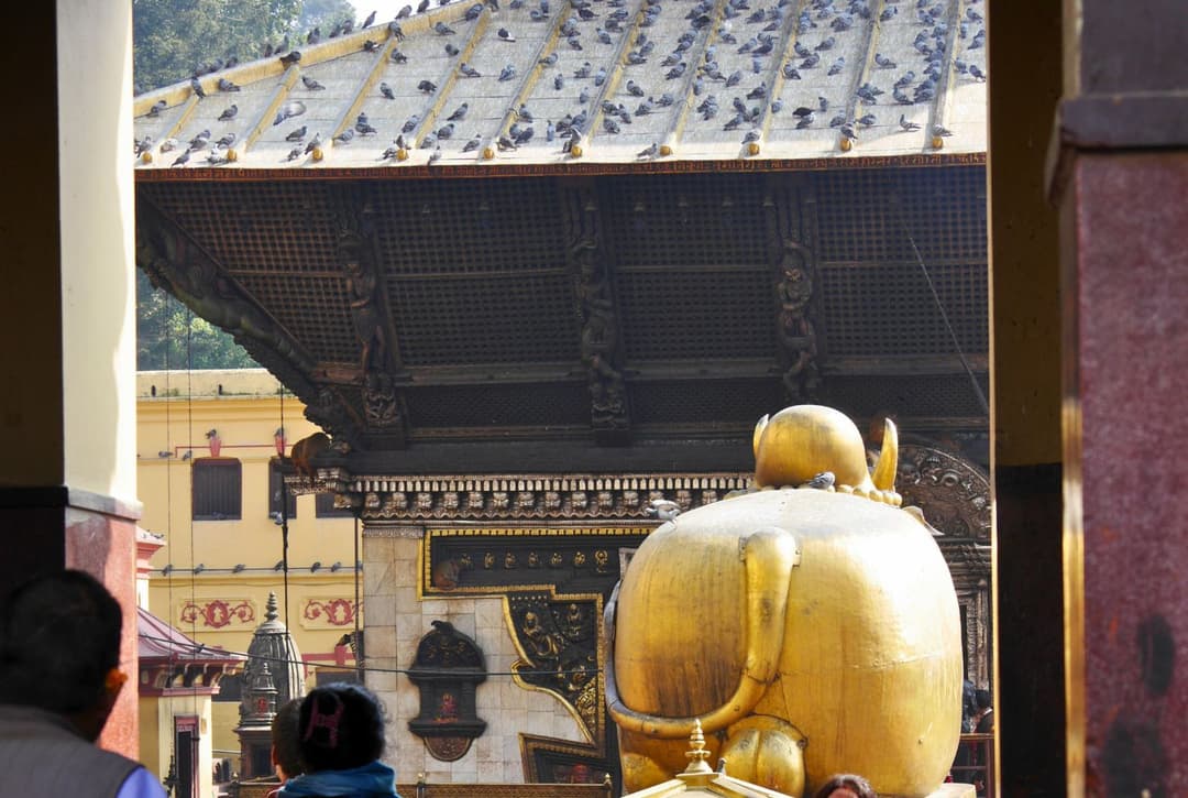 What Is Inside Pashupatinath Mandir