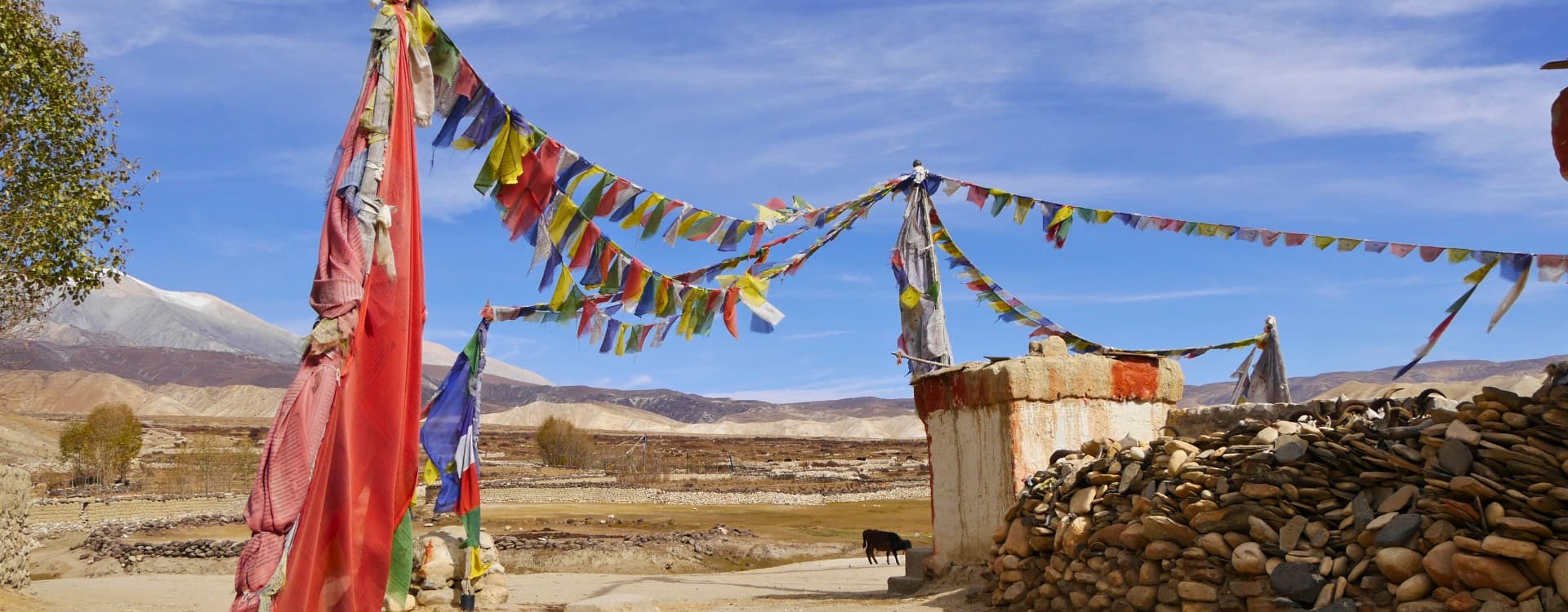 Best Time for Upper Mustang Trek