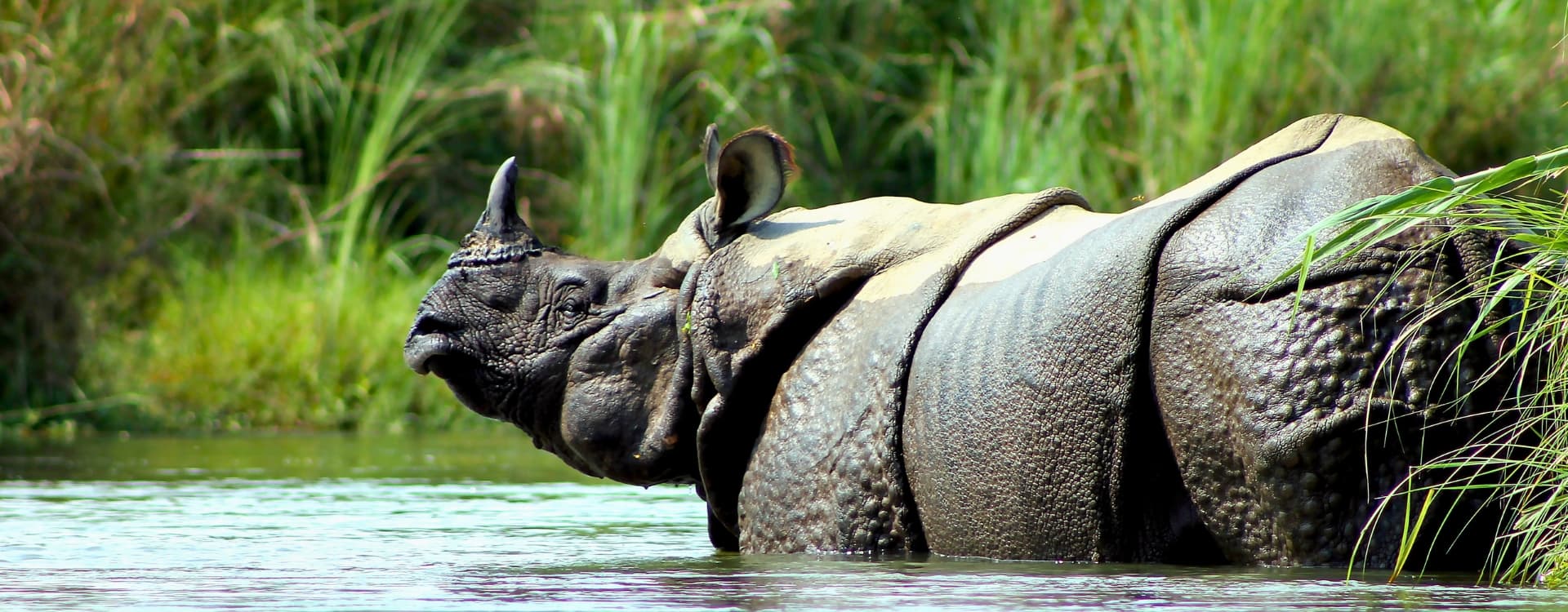 What is Chitwan Famous For?