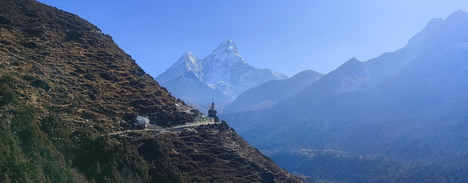 The Flora and Fauna of the Everest Region