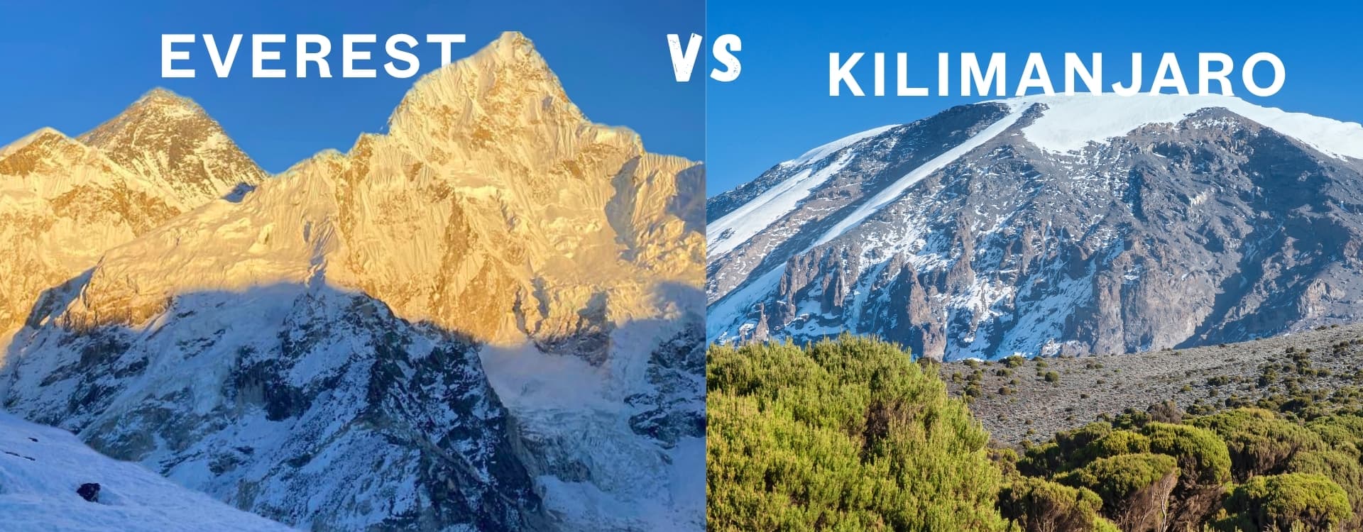 Mount Everest Vs Kilimanjaro