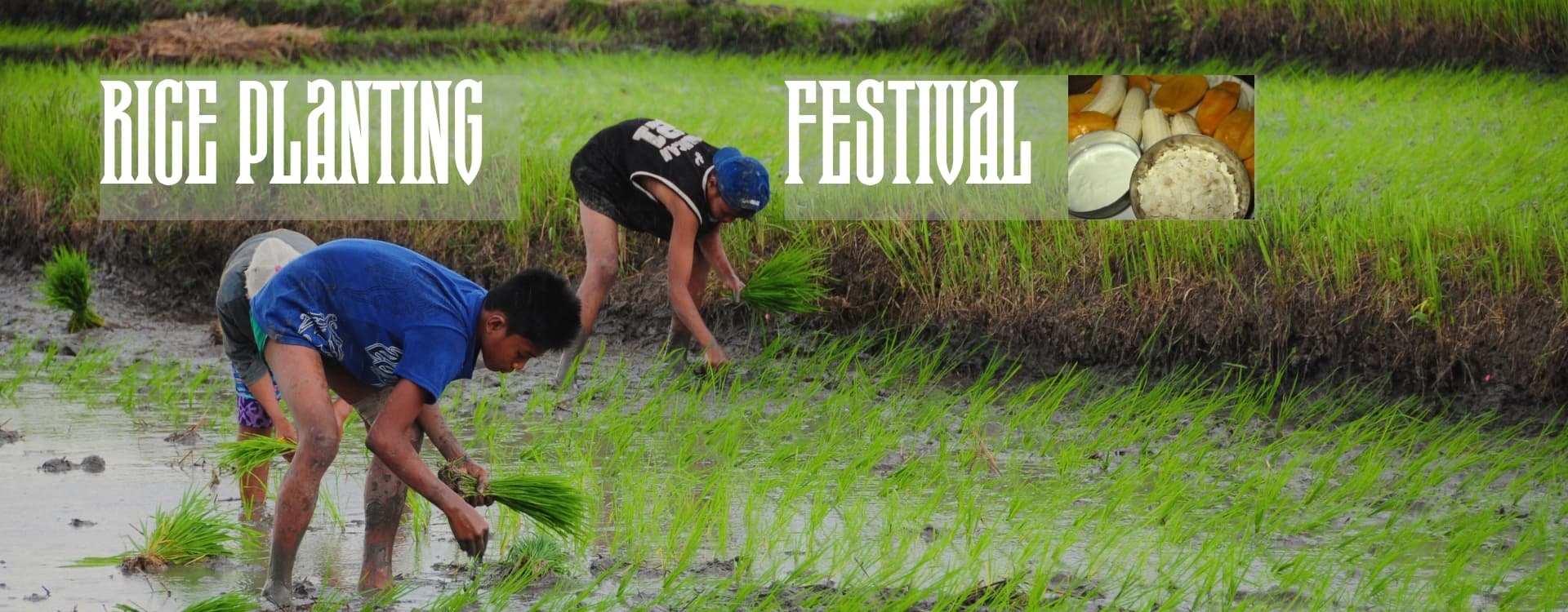 Rice Planting Festival in Nepal | Asar 15 2025