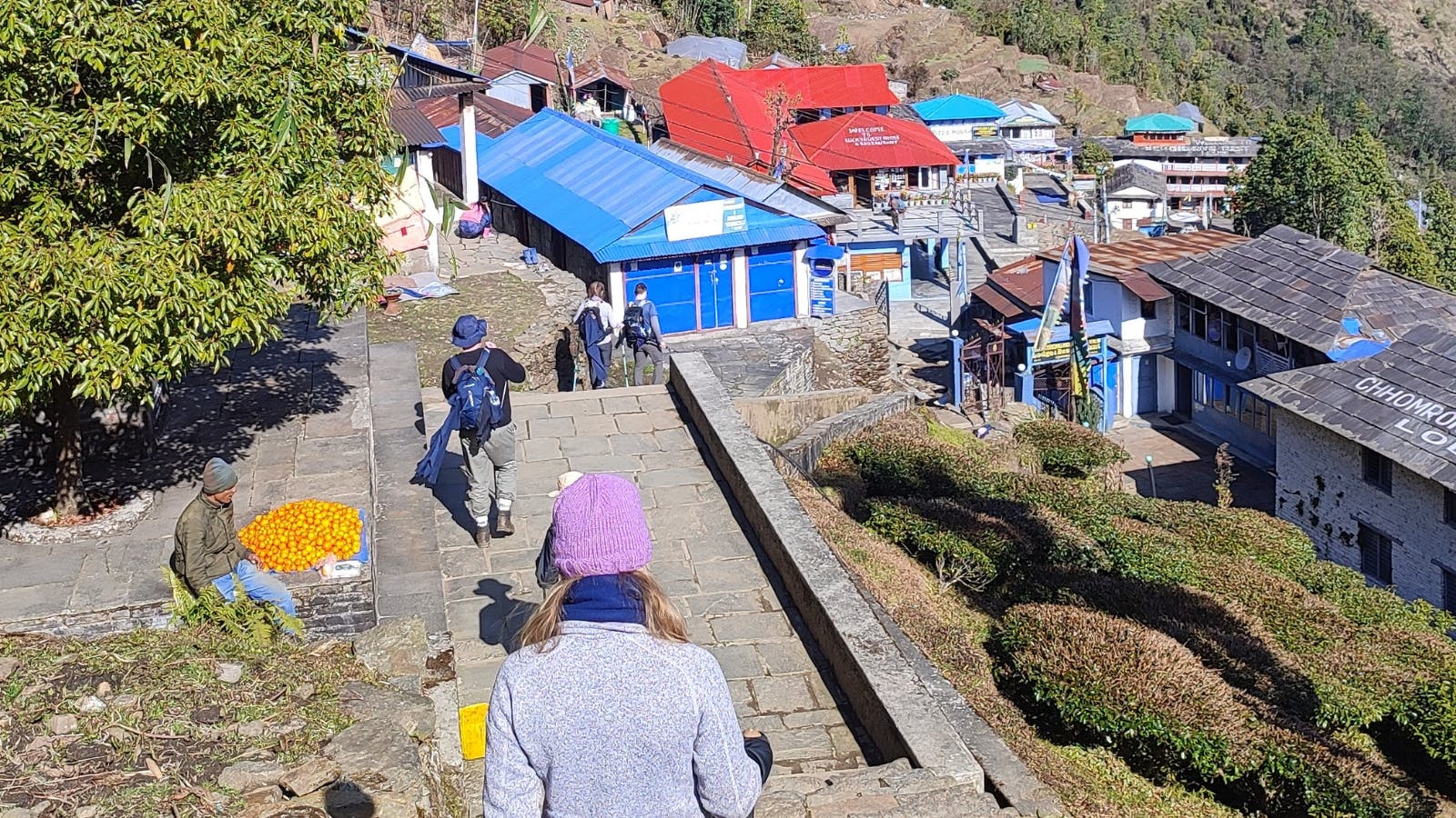 Teahouses and Steep Down Hill