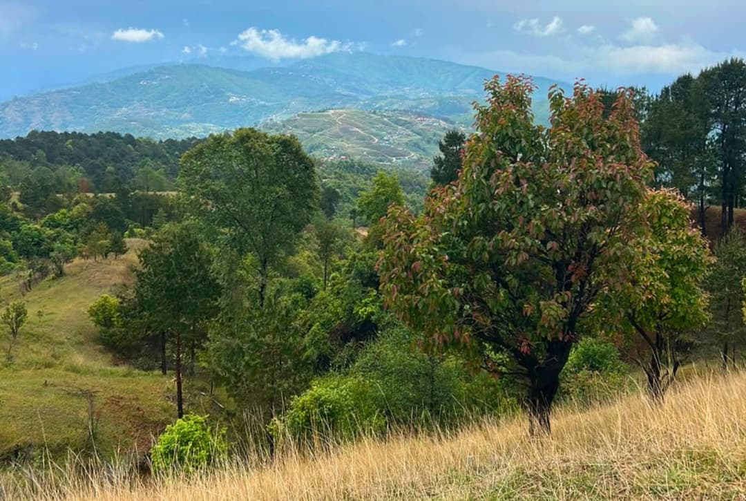 Hiking Chisapani