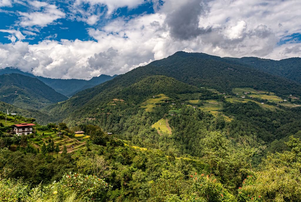 Punakha Valley