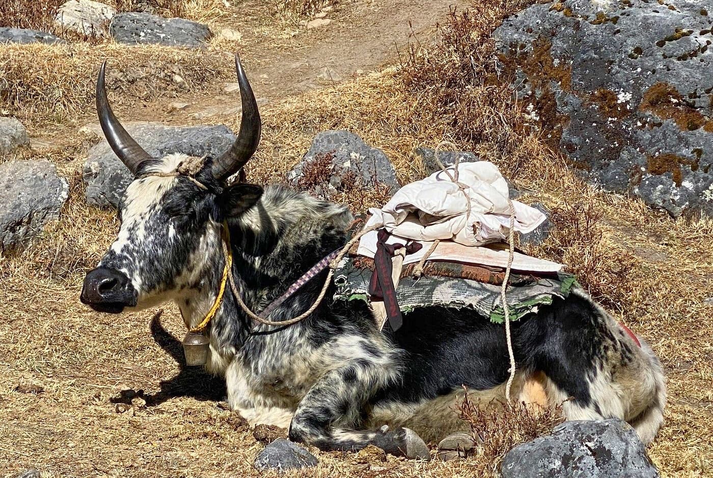 Mera Peak Expedition